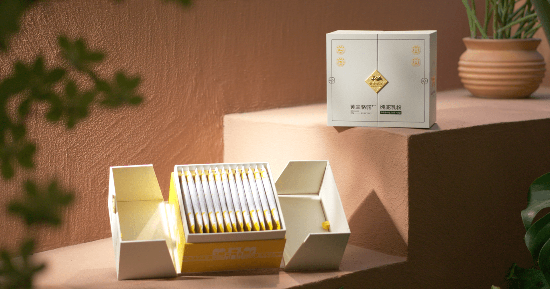 定位小众高端乳粉，凯发手机娱乐·k8推出驼奶品牌“黄金骆驼+”，角逐乳品新市场！